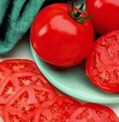 tomato manalucie flower seeds