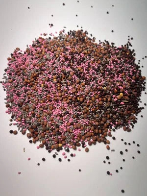 lbs redleaf flower seeds