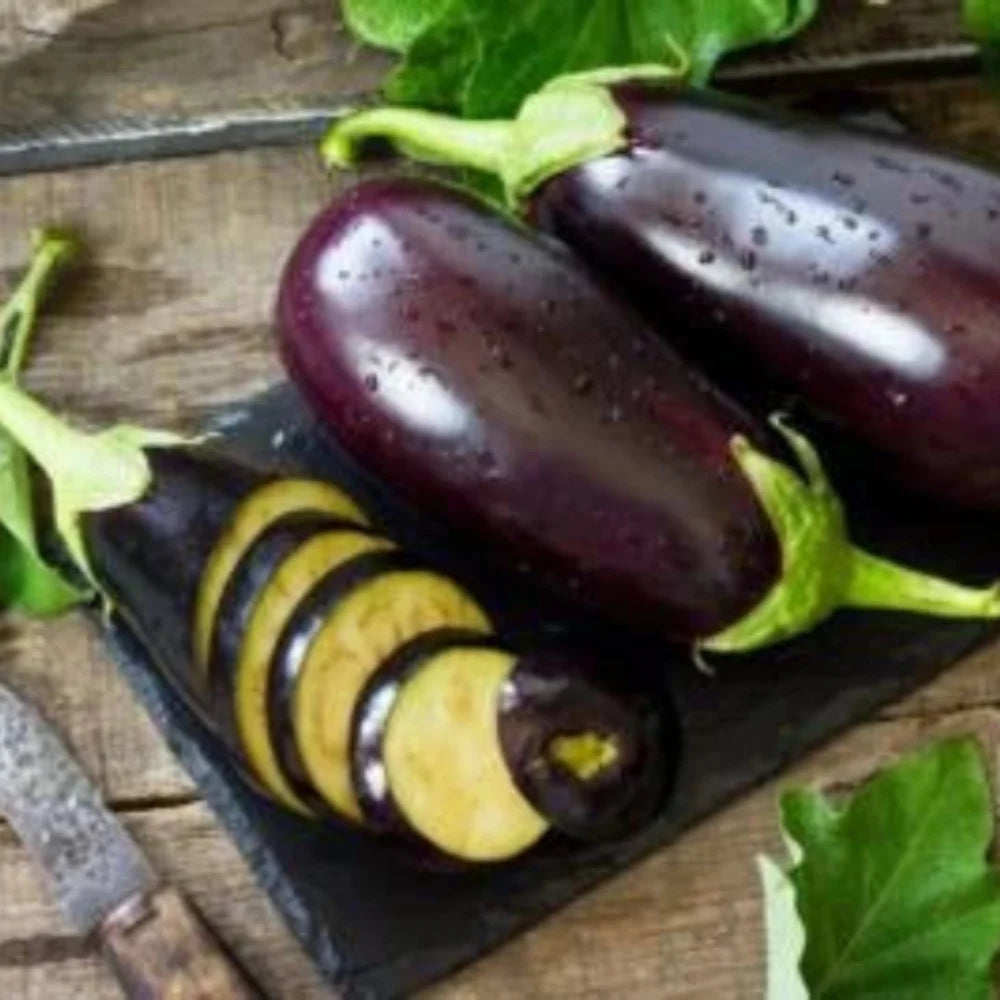 Black Beauty Eggplant Seeds for Planting