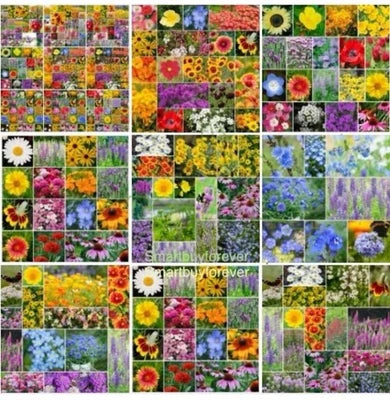 annualperennial wildflower flower seeds