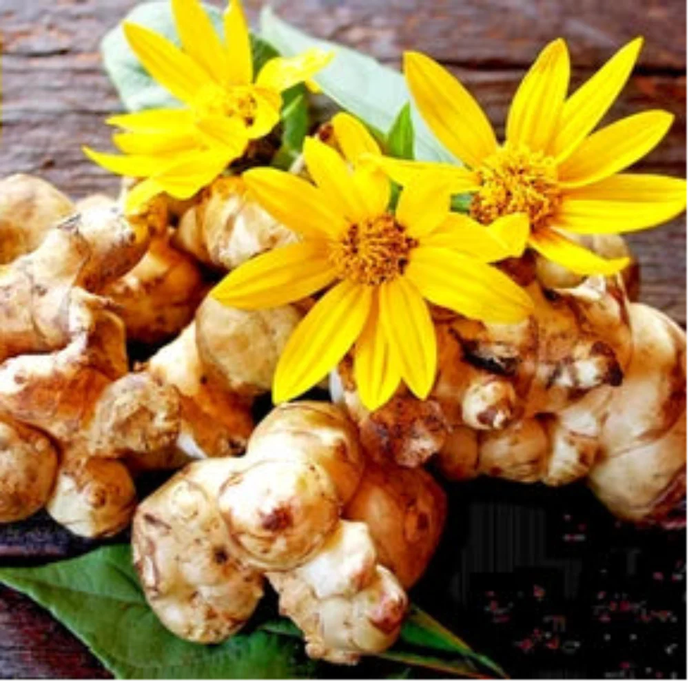 yellow jerusalem flower seeds
