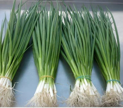 white heirloom flower seeds