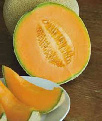 cantaloupe hales flower seeds