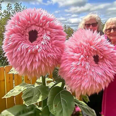 pink rare flower seeds