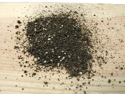 lb super flower seeds