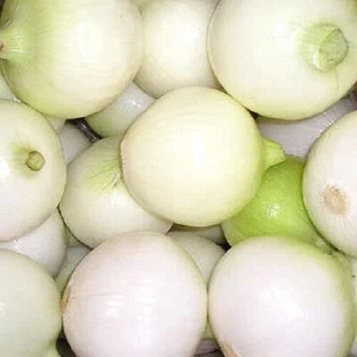 White Yellow Pearl Onion Seeds for Planting