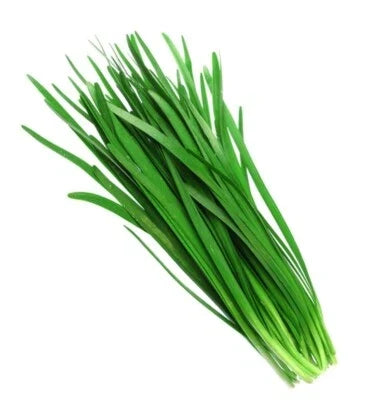 Chinese Chive Herb Seeds for Planting