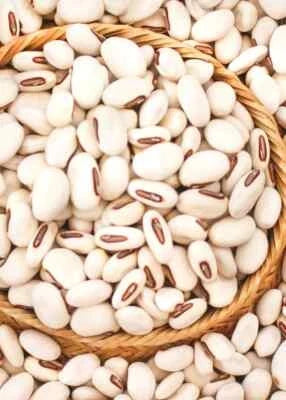 Jack Bean (Canavalia ensiformis) Seeds for Planting
