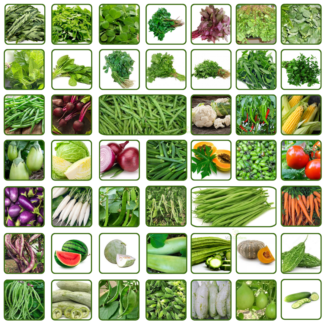Mixed Vegetable and Flower Seed Collection Seeds for Planting