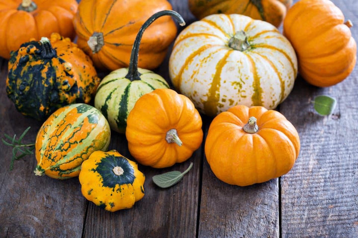 Mixed Pumpkin Seeds for Planting – Heirloom, Non-GMO, High Germination Seeds