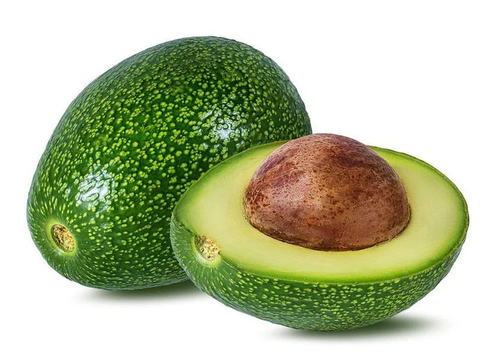 Wurtz (Littlecado) Avocado Seeds Fruit Seeds for Planting – Heirloom Non-GMO High Germination Organic Garden Seeds