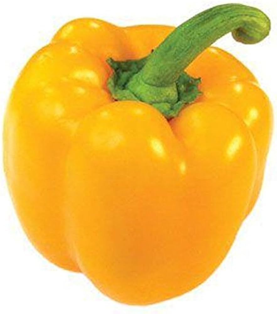 Sunbright Paprika herb seeds