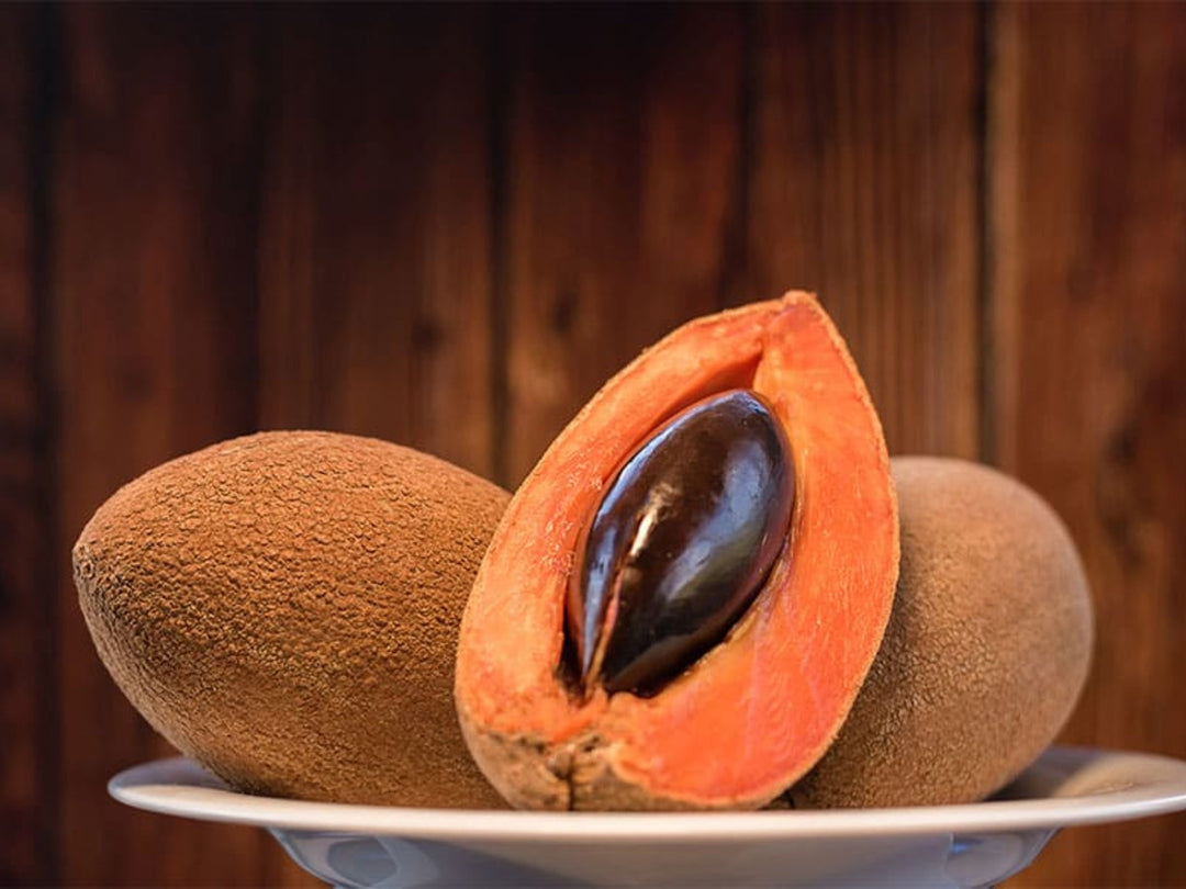 Mamey Fruit Seeds for Planting – Heirloom Non-GMO, High Germination Organic Garden Seeds