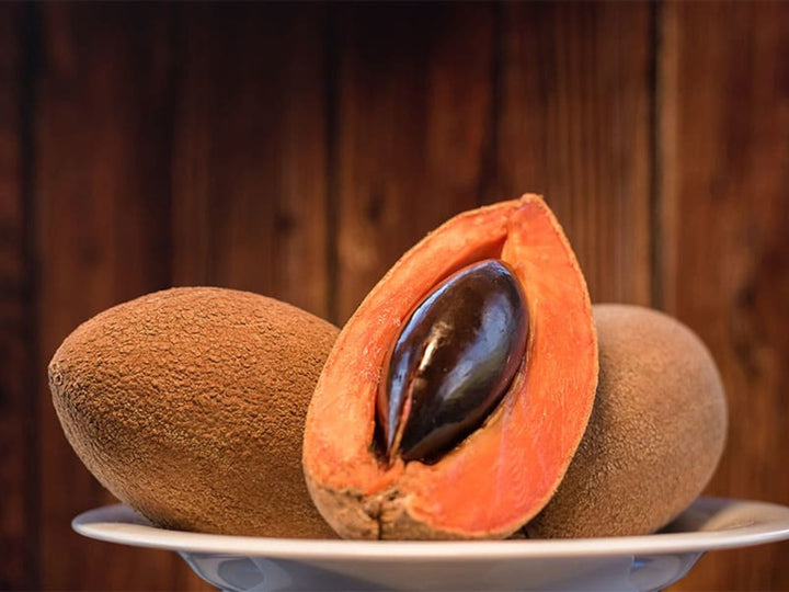 Mamey Fruit Seeds for Planting – Heirloom Non-GMO, High Germination Organic Garden Seeds