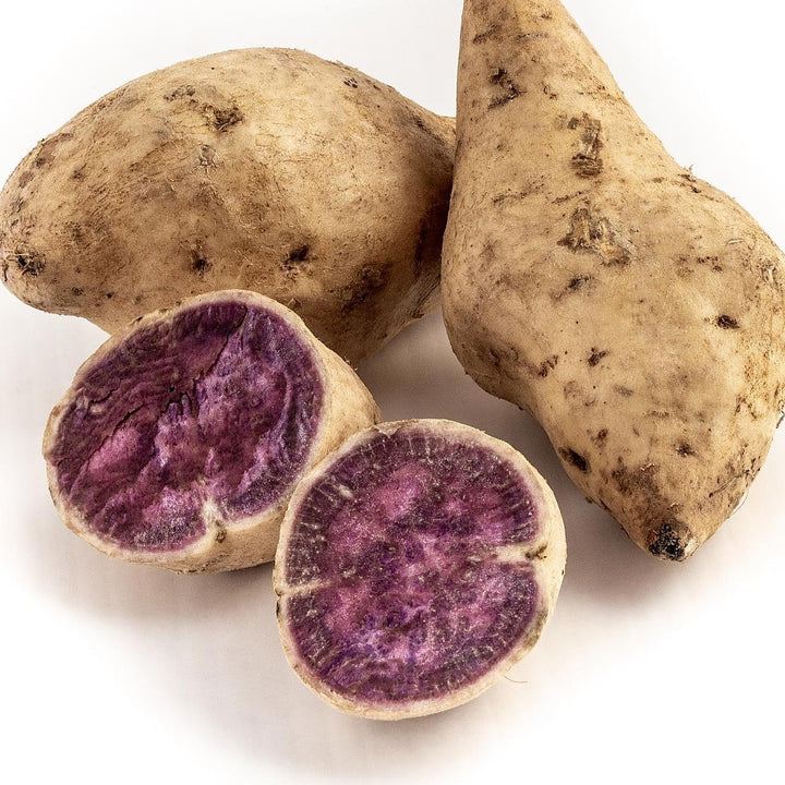Okinawa Sweet Potato Seeds for Gardening – Heirloom, Non-GMO, High Germination Organic Garden Seeds