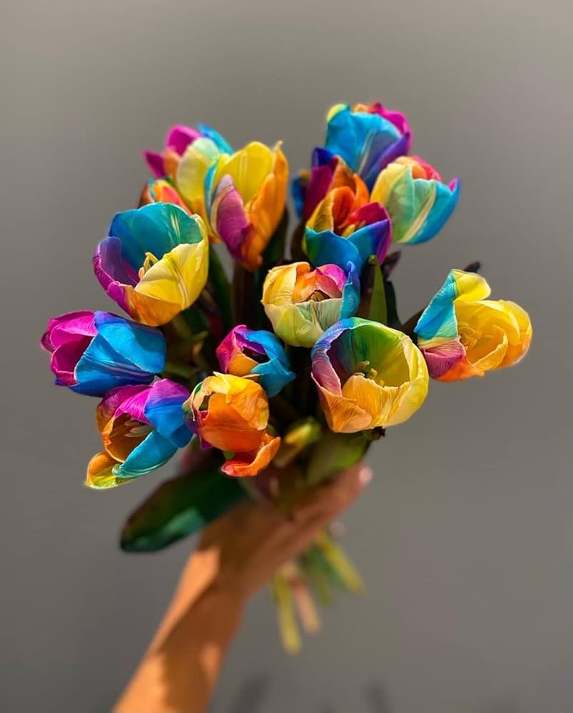 tulip flower flower seeds