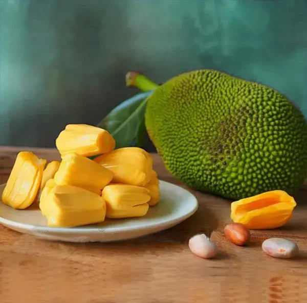 Vietnam Super Early Jackfruit Seeds for Planting Heirloom Non-GMO High Germination Organic Garden Seeds