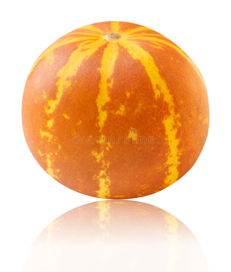 warzenmelonen fruit flower seeds