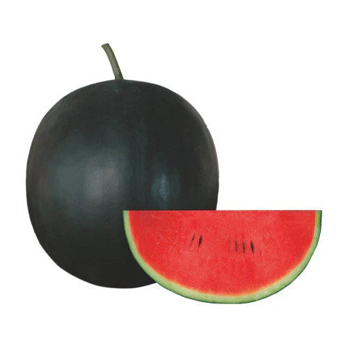 Sugar Baby Watermelon Seeds for Planting Heirloom Non-GMO High Germination Organic Garden Seeds