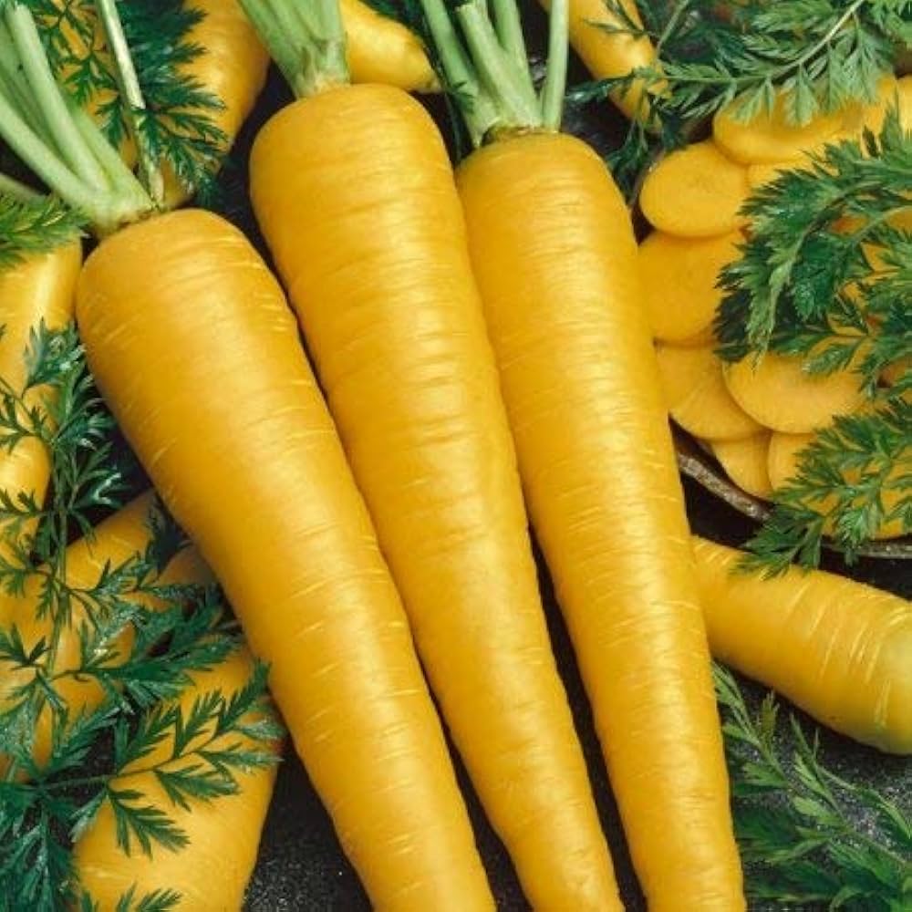 yellow golden flower seeds